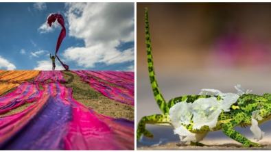 Illustration : Cette sélection des 19 plus belles photos de 2018