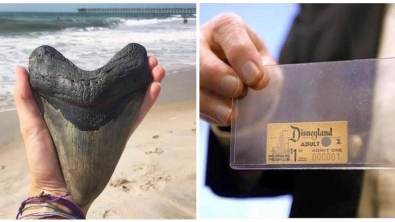 Illustration : Ces 26 photos qu'il n'était pas possible de prendre autrefois