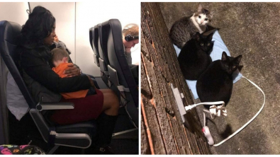 Illustration : Ces 19 personnes qui font preuve d'une grande gentillesse