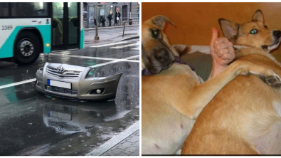 Illustration : Ces 21 photos qui dupent l'esprit et le cerveau