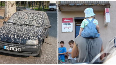 Illustration : Ces 16 photos de situations consternantes ou décevantes