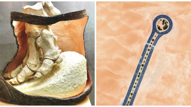 Illustration : Ces 17 photos qui montrent la diversité présente sur la Terre