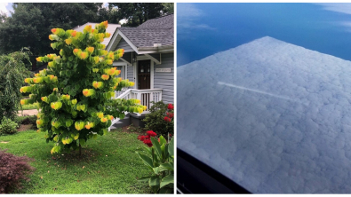 Illustration : Ces 21 choses qui ne se présentent qu'une seule fois dans une vie