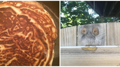 Illustration : Ces 17 photos où l'imagination fait voir autre chose