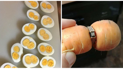 Illustration : Ces 21 fois où la chance est tombée par hasard