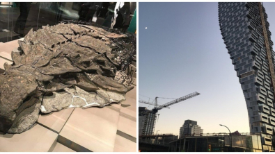 Illustration : Ces 21 photos de choses qui existent réellement