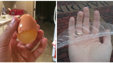 Illustration : Ces 20 photos déclenchées quand il le fallait