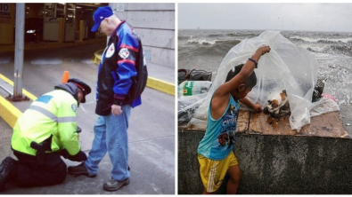 Illustration : Ces 16 preuves de gentillesse qui ont rendu le monde meilleur