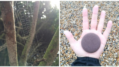 Illustration : Ces 22 photos qui montrent que la nature a plus d'un tour dans son sac