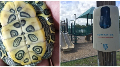 Illustration : Ces 20 découvertes diverses et variées du monde