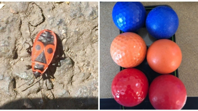 Illustration : Ces 18 petites raretés de la vie quotidienne