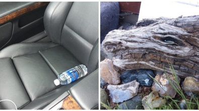 Illustration : Ces 18 fois où les yeux font apparaître autre chose