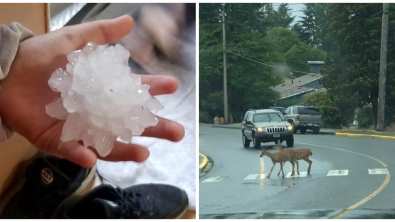 Illustration : Ces 21 photos pour découvrir le Canada