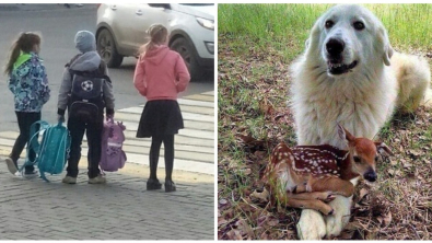 Illustration : Ces 24 photos qui montrent la joie de vivre