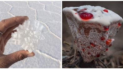 Illustration : Ces 23 photos représentant les curiosités de la nature