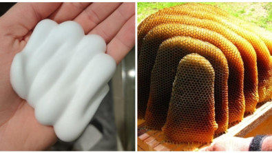 Illustration : Ces 20 photos qui s'approchent de la perfection