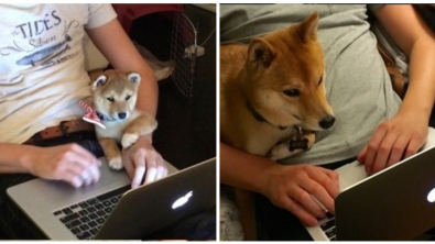 Illustration : Ces 20 photos avant/après qui montrent que certaines choses ne changent jamais