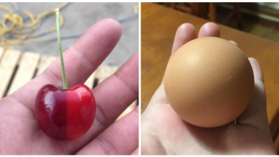 Illustration : Ces 20 photos d'aliments qui montrent ce qu'est la perfection