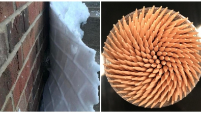 Illustration : Ces 20 photos qui montrent que la nature est bien faite