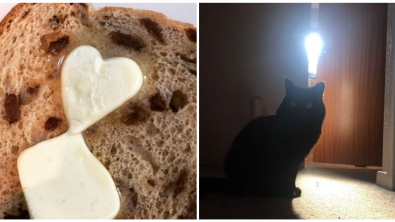 Illustration : Ces 20 photos qui mettent en avant certaines trouvailles