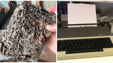 Illustration : Ces 19 personnes qui ont fait de belles découvertes