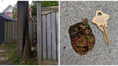 Illustration : Ces 14 photos qui montrent la puissance de la nature