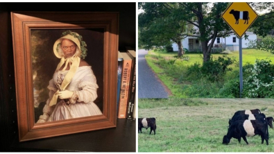 Illustration : Ces 20 personnes qui ne jurent que par l'humour