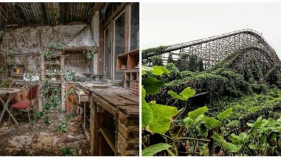 Illustration : Ces 18 photos de la nature lorsqu'elle reprend ses droits