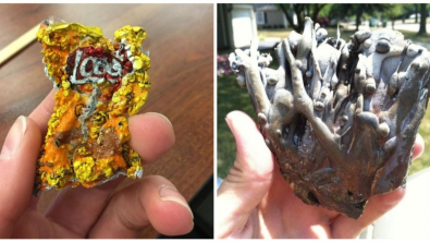 Illustration : Ces 20 situations dignes d'exp&eacute;riences scientifiques