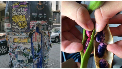 Illustration : Ces 19 photos partagées pour satisfaire la curiosité
