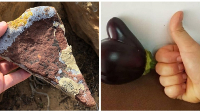 Illustration : Ces 16 photos qui illustrent la beauté et l'originalité de la nature