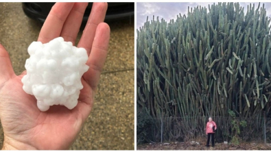 Illustration : Ces 14 photos comparatives de choses originales