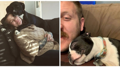 Ces 19 Animaux De Compagnie Qui Inspirent L Amour Et La Generosite