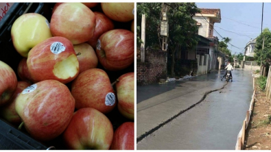 Illustration : Ces 17 personnes qui n'ont honte de rien