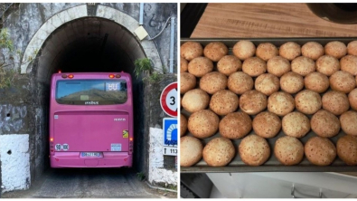 Illustration : Ces 20 photos de choses qui sont parfaitement à leur place