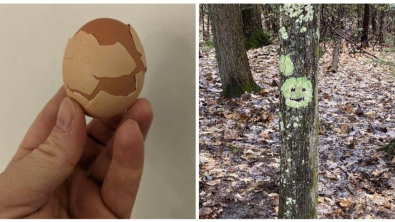 Illustration : Ces 20 photos qui montrent que la nature a de l'humour 