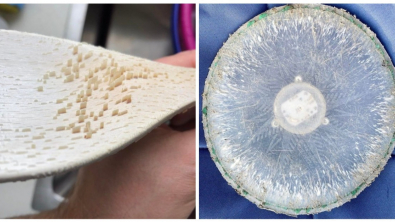 Illustration : Ces 20 photos qui répondent aux questions des personnes curieuses