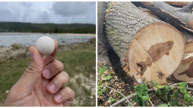 Illustration : Ces 20 photos illustrant les oeuvres insolites de la nature