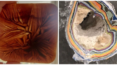 Illustration : Ces 15 photos d'oeuvres issues du hasard 