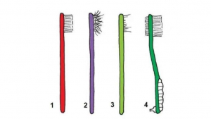 Illustration : "Test de personnalité : la brosse à dents que vous possédez en dira long sur vous"