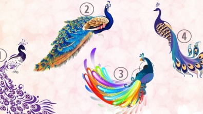 Illustration : Test de personnalité : choisissez un paon et découvrez quel type d'ami vous êtes