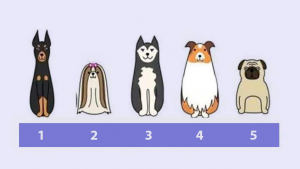 Illustration : "Test de personnalité : choisissez un chien et découvrez votre vrai caractère"