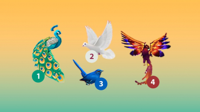 Illustration : Test de personnalité : choisissez un oiseau pour savoir si vous êtes une personne libre