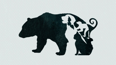 Illustration : Test de personnalité : ce que vous voyez en premier déterminera si vous êtes une personne manipulatrice