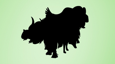 Illustration : Test de personnalité : combien d’animaux sont présents sur cette image ? Découvrez ce qui se cache derrière votre réponse