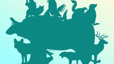 Illustration : D&eacute;fi visuel : trouvez le nombre d&rsquo;animaux cach&eacute;s dans cette image pour tester votre acuit&eacute; visuelle