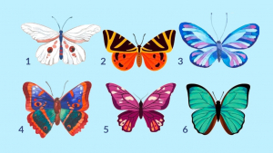 Illustration : "Test de personnalité : découvrez votre vraie nature en choisissant un papillon"