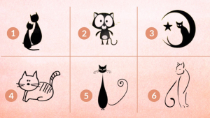 Illustration : "Test de personnalité : choisissez un chat pour découvrir si vous avez une bonne intuition"