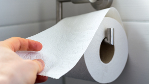 Illustration : "La fin annoncée du papier toilette : voici les options plus écologiques et efficaces"