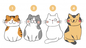 Illustration : "Test de personnalité : le chat que vous choisissez reflète votre objectif de vie"